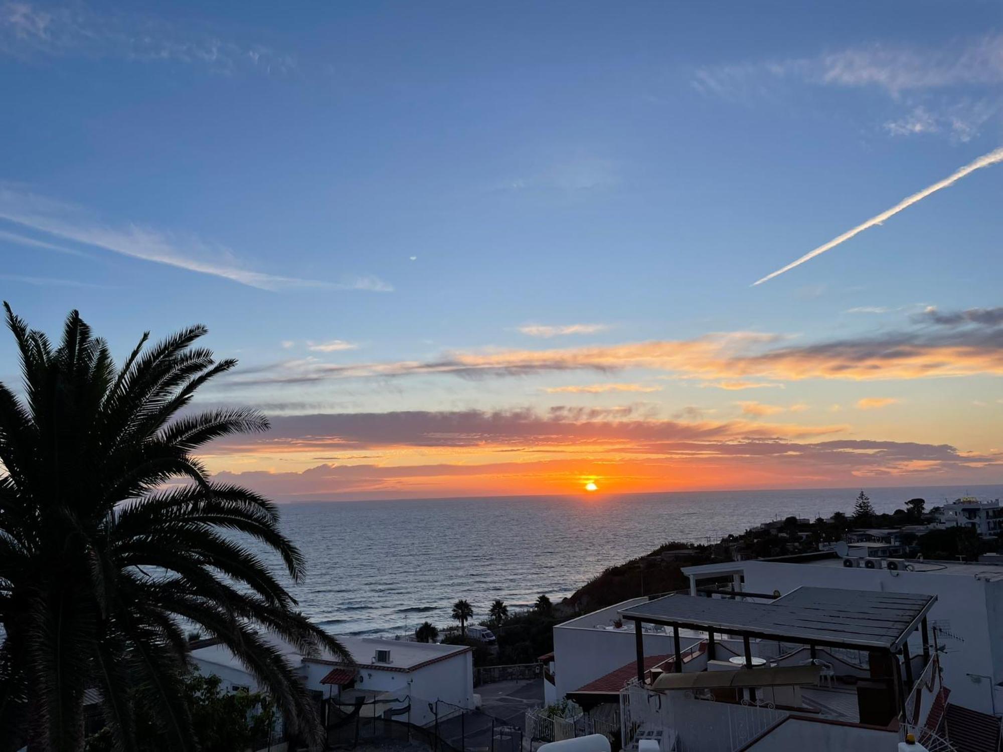 Palummera Ischia